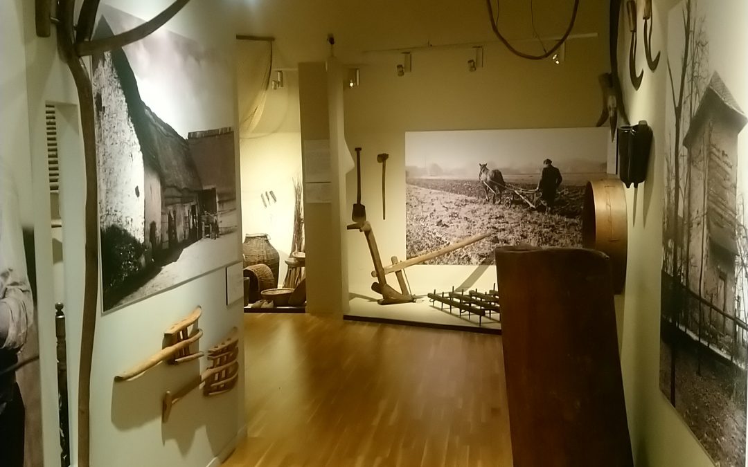 Z wizytą w Muzeum Śląska Opolskiego